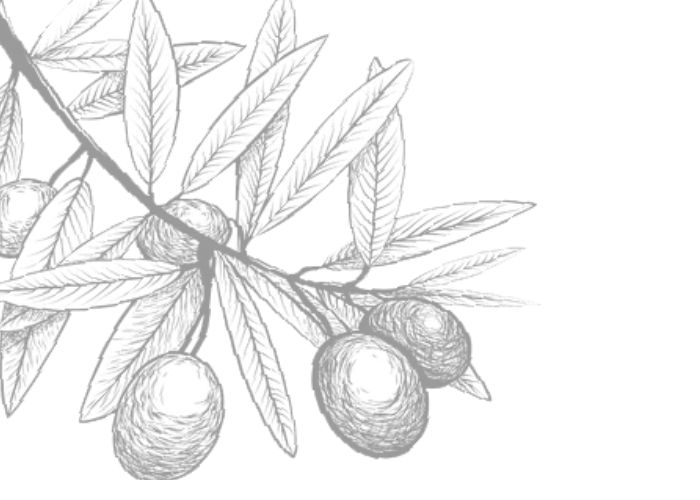 Progetto senza titolo (2)